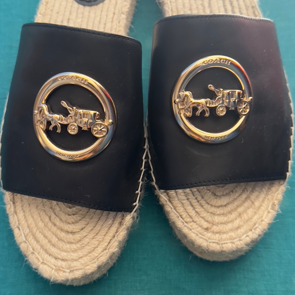 Coach Black and Gold Logo Slides